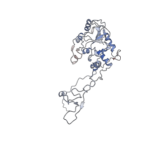 13892_7qca_LC0_v1-2
Spraguea lophii ribosome