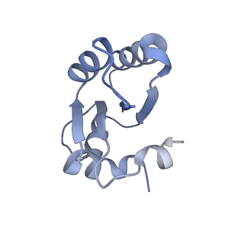 13892_7qca_LCC_v1-2
Spraguea lophii ribosome
