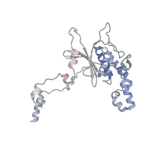 13892_7qca_LD0_v1-2
Spraguea lophii ribosome