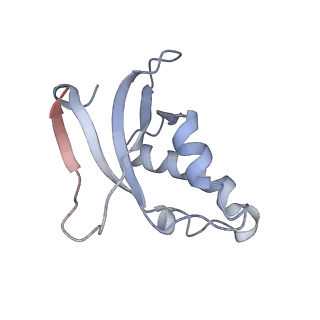 13892_7qca_LDD_v1-2
Spraguea lophii ribosome