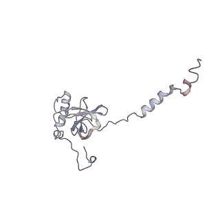 13892_7qca_LE0_v1-2
Spraguea lophii ribosome