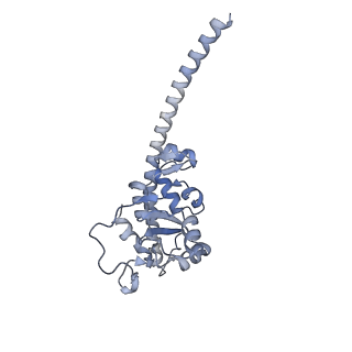 13892_7qca_LF0_v1-2
Spraguea lophii ribosome
