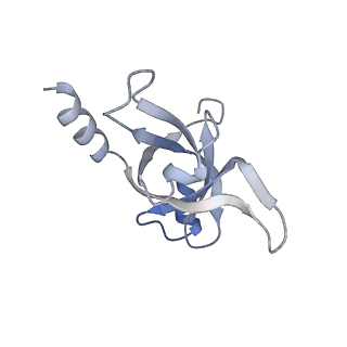 13892_7qca_LFF_v1-2
Spraguea lophii ribosome