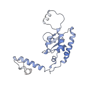 13892_7qca_LG0_v1-2
Spraguea lophii ribosome