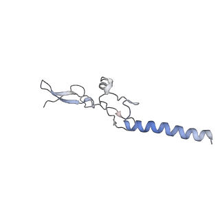 13892_7qca_LGG_v1-2
Spraguea lophii ribosome