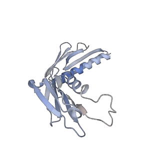 13892_7qca_LH0_v1-2
Spraguea lophii ribosome