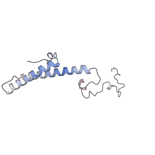13892_7qca_LHH_v1-2
Spraguea lophii ribosome