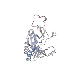 13892_7qca_LI0_v1-2
Spraguea lophii ribosome