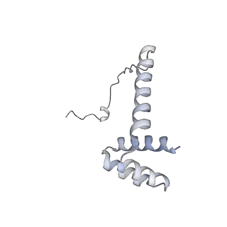 13892_7qca_LII_v1-2
Spraguea lophii ribosome