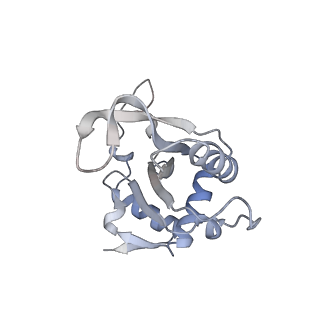 13892_7qca_LJ0_v1-2
Spraguea lophii ribosome