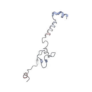 13892_7qca_LJJ_v1-2
Spraguea lophii ribosome