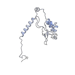 13892_7qca_LL0_v1-2
Spraguea lophii ribosome