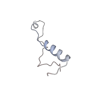 13892_7qca_LLL_v1-2
Spraguea lophii ribosome