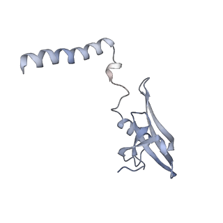 13892_7qca_LM0_v1-2
Spraguea lophii ribosome