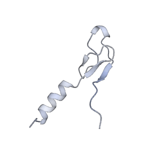 13892_7qca_LMM_v1-2
Spraguea lophii ribosome