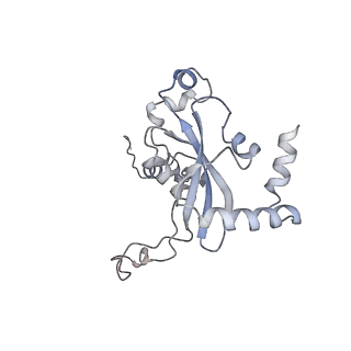 13892_7qca_LN0_v1-2
Spraguea lophii ribosome