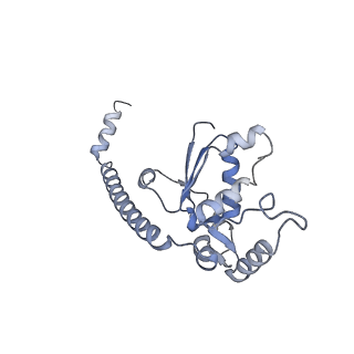 13892_7qca_LO0_v1-2
Spraguea lophii ribosome