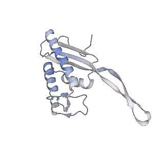 13892_7qca_LP0_v1-2
Spraguea lophii ribosome