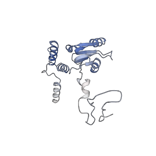 13892_7qca_LQ0_v1-2
Spraguea lophii ribosome