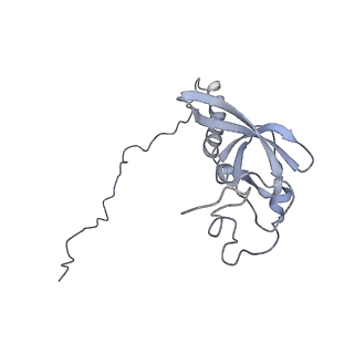 13892_7qca_LT0_v1-2
Spraguea lophii ribosome