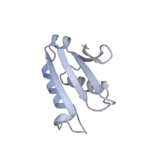 13892_7qca_LU0_v1-2
Spraguea lophii ribosome