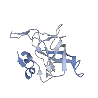 13892_7qca_LV0_v1-2
Spraguea lophii ribosome