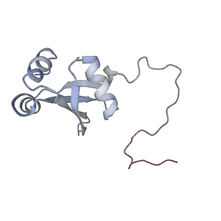 13892_7qca_LX0_v1-2
Spraguea lophii ribosome