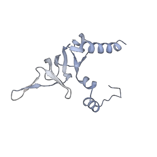 13892_7qca_LY0_v1-2
Spraguea lophii ribosome