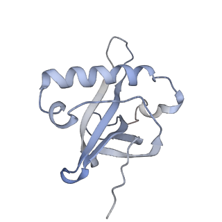 13892_7qca_LZ0_v1-2
Spraguea lophii ribosome