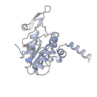 13892_7qca_SA0_v1-2
Spraguea lophii ribosome