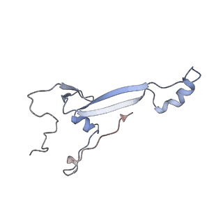 13892_7qca_SAA_v1-2
Spraguea lophii ribosome
