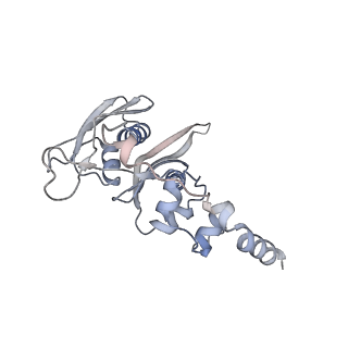 13892_7qca_SC0_v1-2
Spraguea lophii ribosome