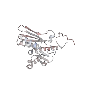13892_7qca_SD0_v1-2
Spraguea lophii ribosome