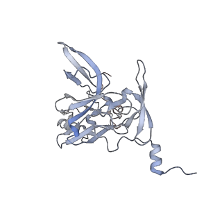 13892_7qca_SE0_v1-2
Spraguea lophii ribosome