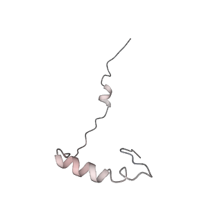 13892_7qca_SEE_v1-2
Spraguea lophii ribosome