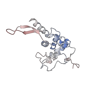 13892_7qca_SF0_v1-2
Spraguea lophii ribosome