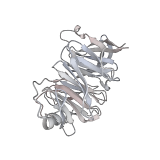 13892_7qca_SGG_v1-2
Spraguea lophii ribosome