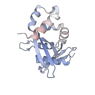 13892_7qca_SH0_v1-2
Spraguea lophii ribosome