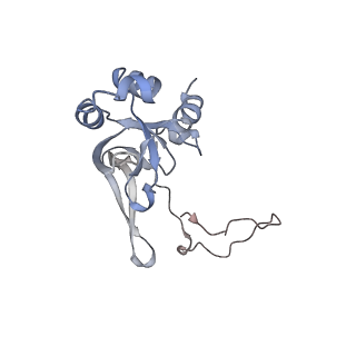 13892_7qca_SI0_v1-2
Spraguea lophii ribosome