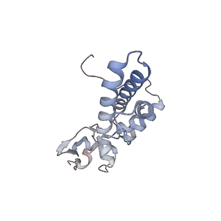 13892_7qca_SJ0_v1-2
Spraguea lophii ribosome