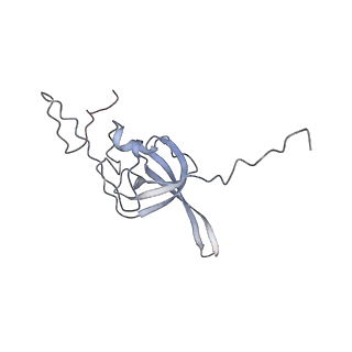 13892_7qca_SL0_v1-2
Spraguea lophii ribosome