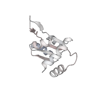 13892_7qca_SM0_v1-2
Spraguea lophii ribosome