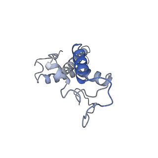 13892_7qca_SN0_v1-2
Spraguea lophii ribosome