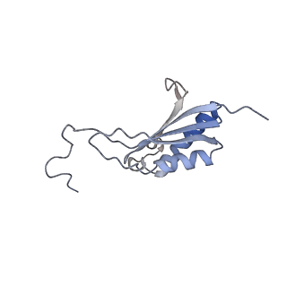 13892_7qca_SO0_v1-2
Spraguea lophii ribosome