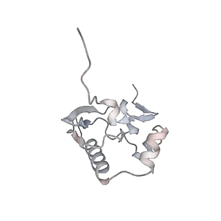 13892_7qca_SP0_v1-2
Spraguea lophii ribosome