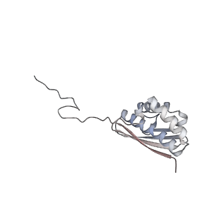 13892_7qca_SQ0_v1-2
Spraguea lophii ribosome