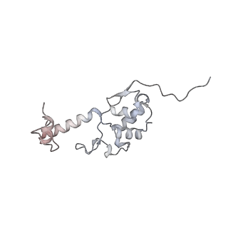 13892_7qca_SS0_v1-2
Spraguea lophii ribosome
