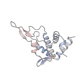 13892_7qca_ST0_v1-2
Spraguea lophii ribosome