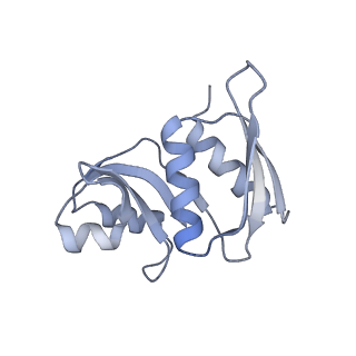 13892_7qca_SW0_v1-2
Spraguea lophii ribosome