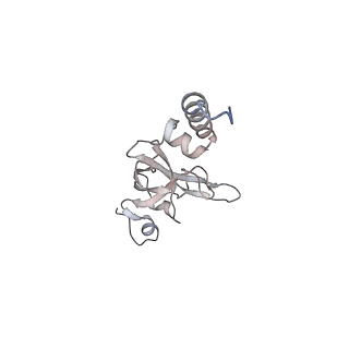 13892_7qca_SX0_v1-2
Spraguea lophii ribosome